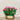 Floral Arrangement-Artificial Torenia Arrangement-Bloomr