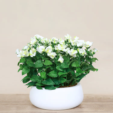 Floral Arrangement-Artificial Torenia Arrangement-Bloomr