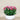 Floral Arrangement-Artificial Torenia Arrangement-Bloomr