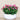 Floral Arrangement-Artificial Torenia Arrangement-Bloomr