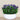 Floral Arrangement-Artificial Torenia Arrangement-Bloomr