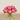 Floral Arrangement-Artificial Ranunculus Arrangement in Glass Vase-Bloomr