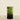 Vases-Glass Vase-Bloomr