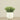 Artificial Potted Succulent