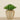 Artificial Potted Succulent