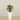 Artificial Calathea Tree 60cm