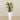 -Artificial Calathea Tree 75cm-Bloomr