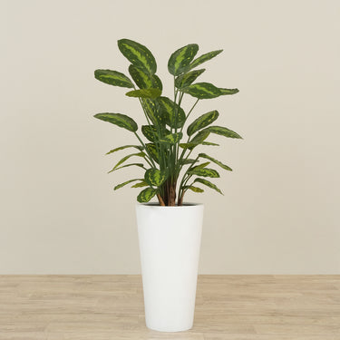 -Artificial Calathea Tree 75cm-Bloomr