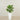 -Artificial Calathea Tree 70cm-Bloomr