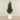 -Artificial Laurel Tree 180cm-Bloomr