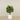 Artificial Schefflera Tree 120cm