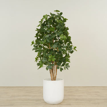 -Artificial Schefflera Tree 150cm-Bloomr