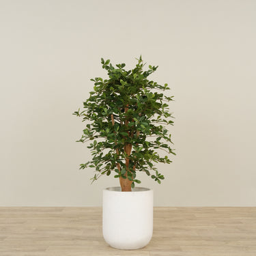 -Artificial Schefflera Tree 120cm-Bloomr