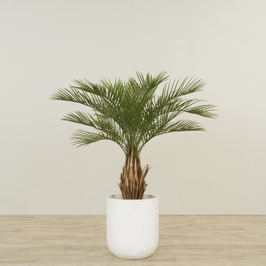 -Artificial Palm Tree 120cm-Bloomr