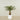 -Artificial Palm Tree 120cm-Bloomr
