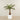 Artificial Palm Tree 150cm