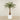Artificial Palm Tree 180cm