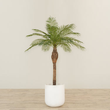 -Artificial Phoenix Palm 180cm-Bloomr