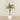 -Artificial Phoenix Palm 180cm-Bloomr