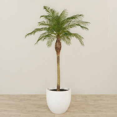 -Artificial Phoenix Palm 270cm-Bloomr