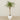 -Artificial Phoenix Palm 270cm-Bloomr