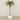 -Artificial Phoenix Palm 300cm-Bloomr