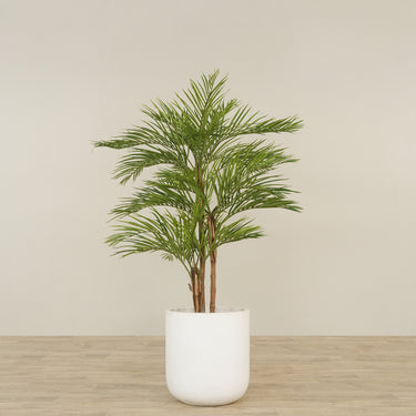 -Artificial Areca Palm 180cm-Bloomr