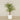 -Artificial Areca Palm 210cm-Bloomr