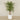 Artificial Areca Palm Tree 260cm