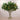 -Artificial Ming Aralia Arrangement in Glass Vase-Bloomr
