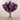 Floral Arrangement-Artificial Vanda Arrangement in Glass Vase-Bloomr