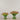 -Artificial Calla lily Arrangement in Glass Vase-Bloomr