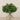 Floral Arrangement-Laurel Leaf Arrangement in Glass Vase-Bloomr