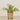 -Artificial Fern Arrangement in Ceramic Vase-Bloomr
