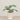 -Artificial Scindapsus Arrangement in Ceramic Vase-Bloomr