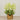 -Artificial Astilbe Arrangement in Ceramic Vase-Bloomr