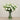 -Artificial Lisianthus Arrangement in Glass Vase-Bloomr