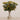-Berry Arrangement in Glass Vase-Bloomr