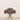 -Allium Arrangement in Glass Vase-Bloomr