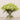-Allium Arrangement in Glass Vase-Bloomr
