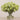 -Allium Arrangement in Glass Vase-Bloomr