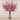 -Artificial Leptospermum Arrangement in Glass Vase-Bloomr