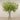 -Artificial Grevillea Arrangement in Glass Vase-Bloomr