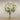 Floral Arrangement-Artificial Ceratopetalum Arrangement in Glass Vase-Bloomr