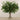 -Artificial Boxwood Arrangement in Glass Vase-Bloomr