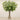 Floral Arrangement-Sorbus Arrangement in Glass Vase-Bloomr