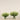 Floral Arrangement-Trifolium Angustifolium Arrangement in Glass Vase-Bloomr