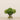 -Pin Cushion Arrangement in Glass Vase-Bloomr