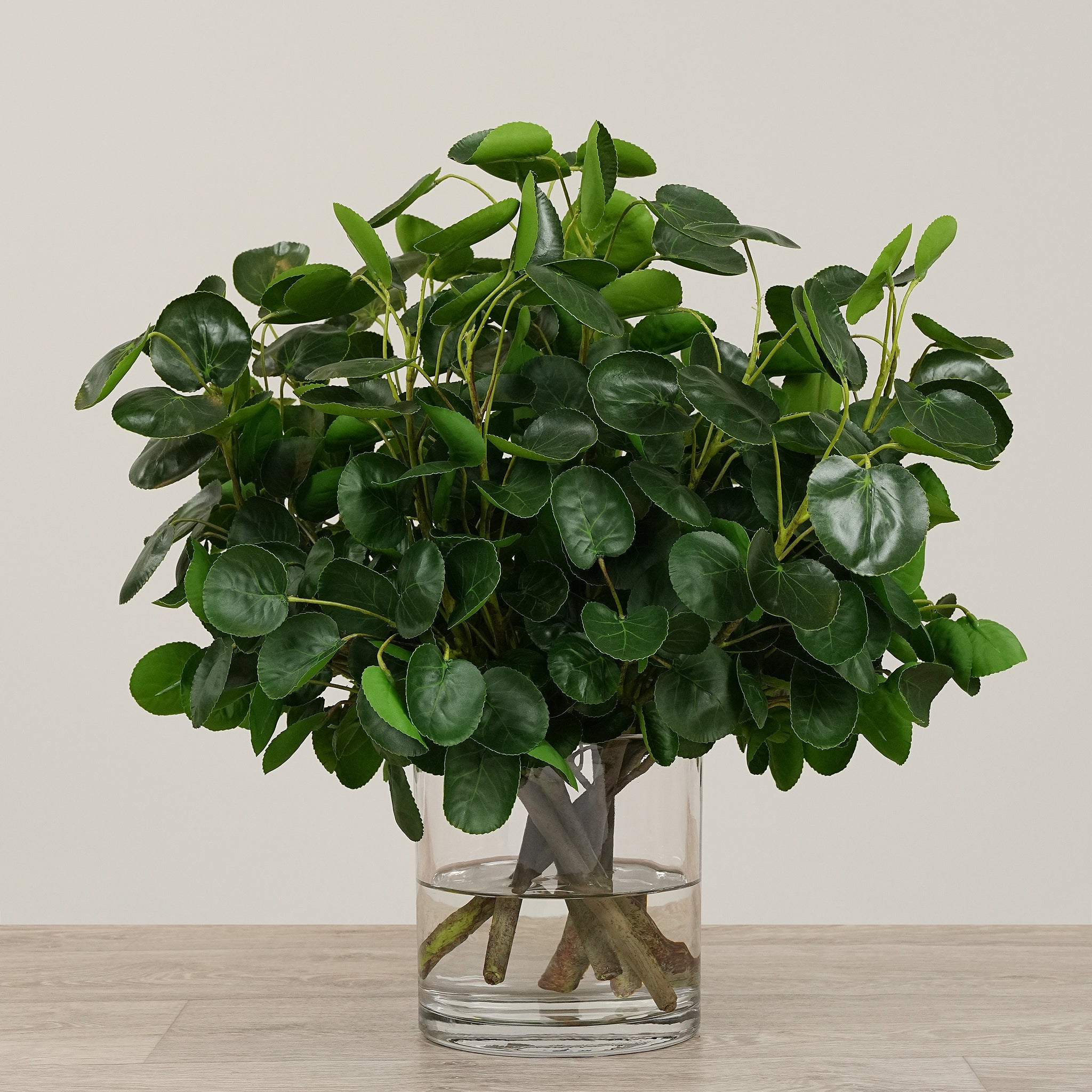 glass vase for money plant Artificial Money Plant Arrangement in Glass Vase – Bloomr
