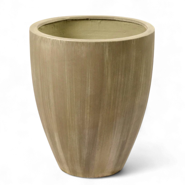 أصيص أشجار فيكونستون كبير دائري الشكل